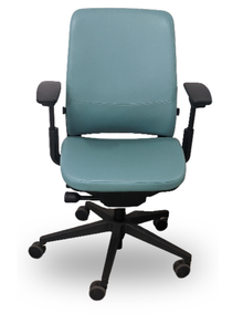 Amia Task Chair, Sewn