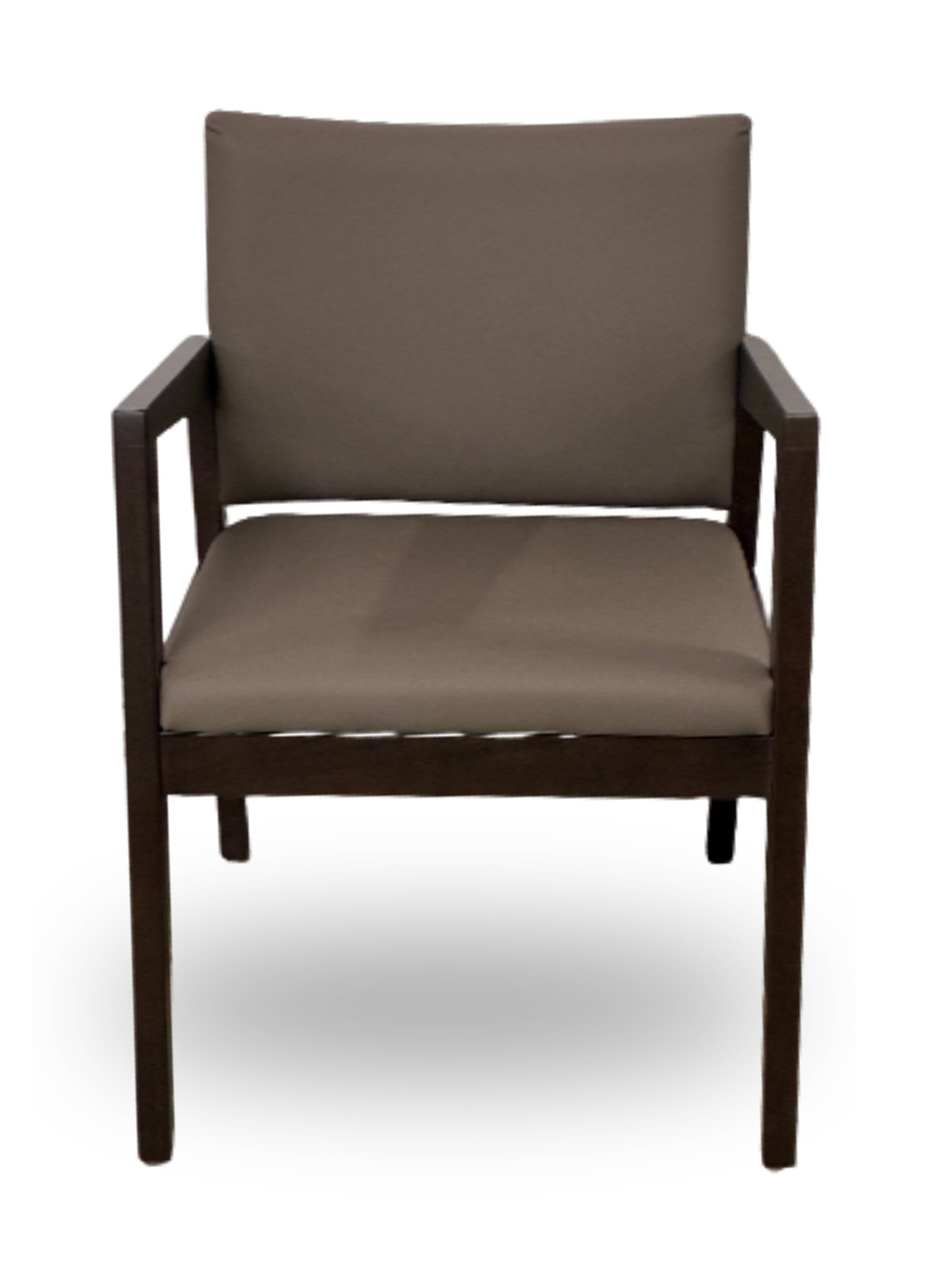 Rein+ Guest Chair